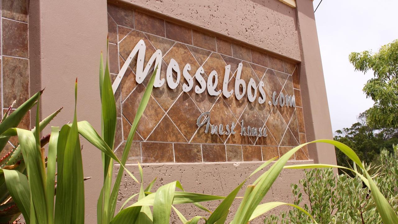 Mosselbos Guesthouse Self-Catering Great Brak River Ngoại thất bức ảnh